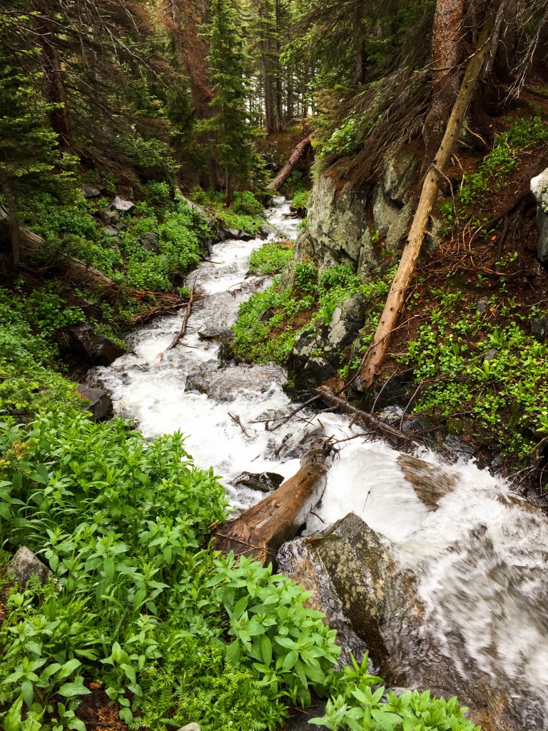 The upper parts of the inlet stream