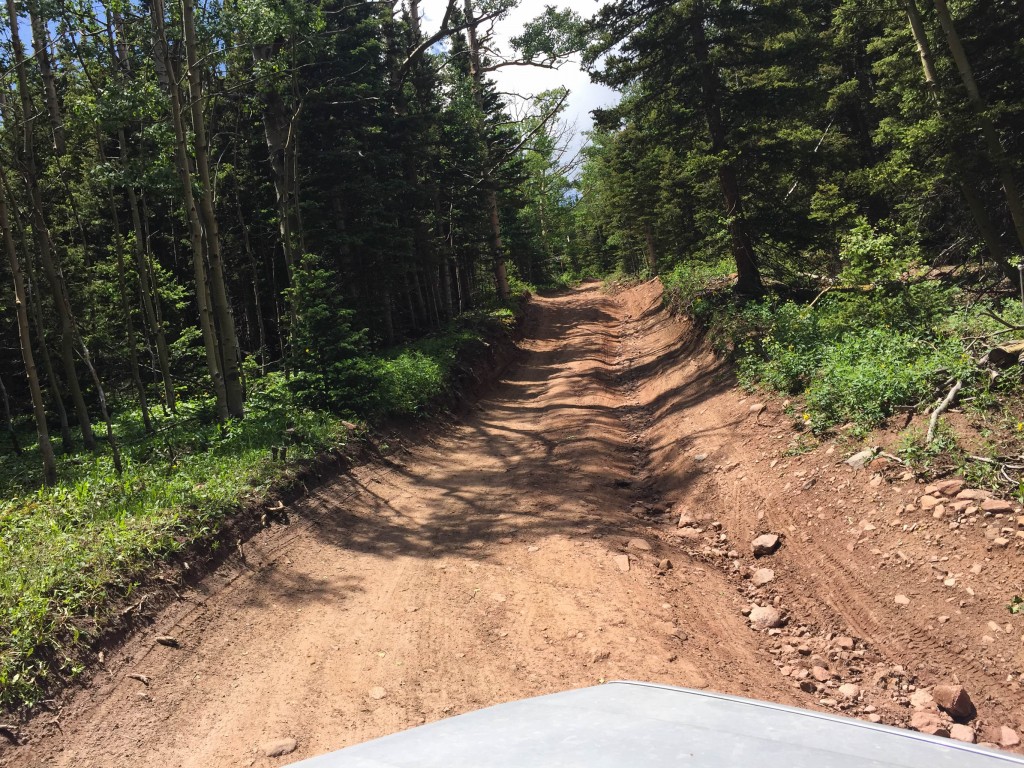 The road getting a little rockier 