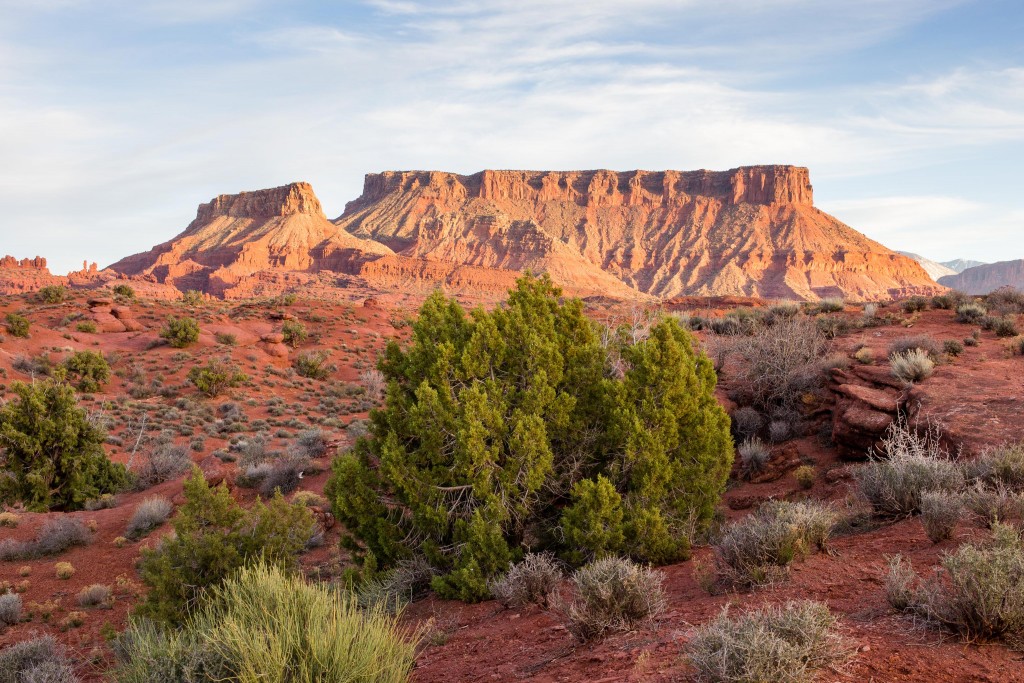 Adobe Mesa Sunset