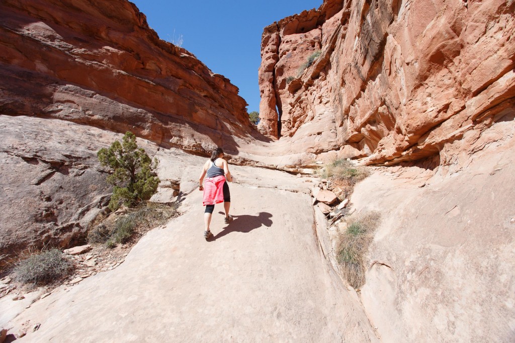 Ariel hiking up