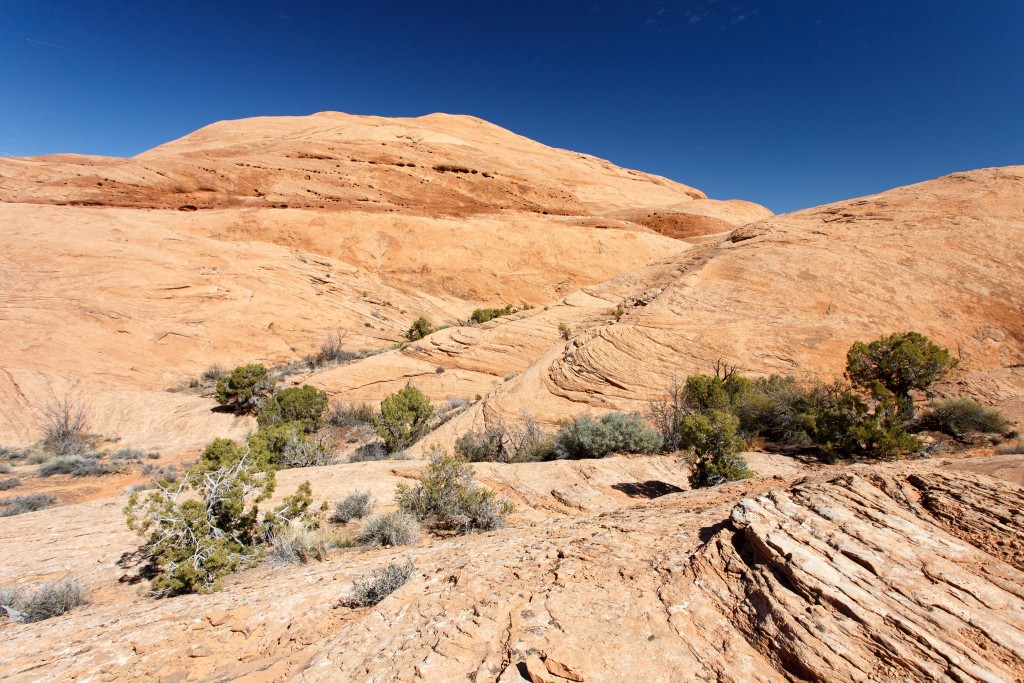 Sandstone Domes