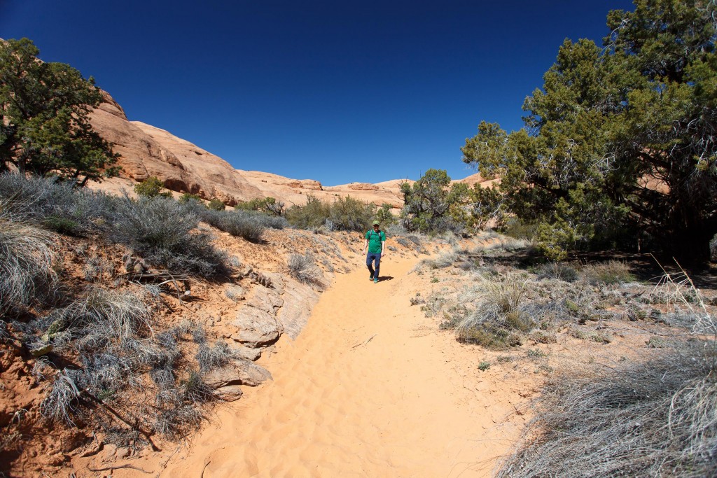 The sandy trail through junipers