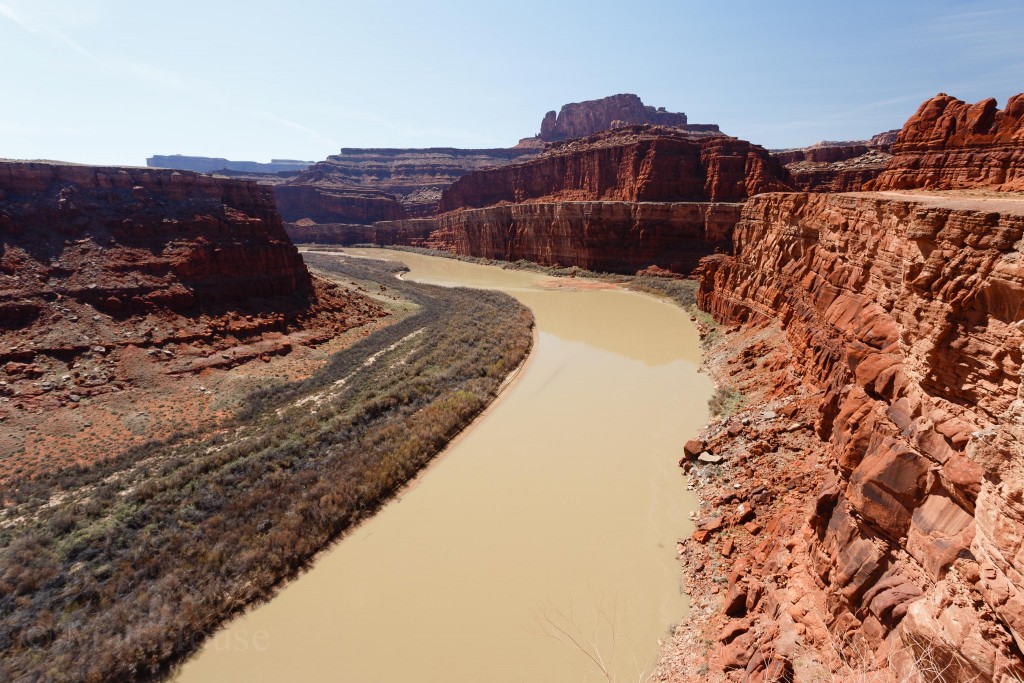Muddy Colorado River